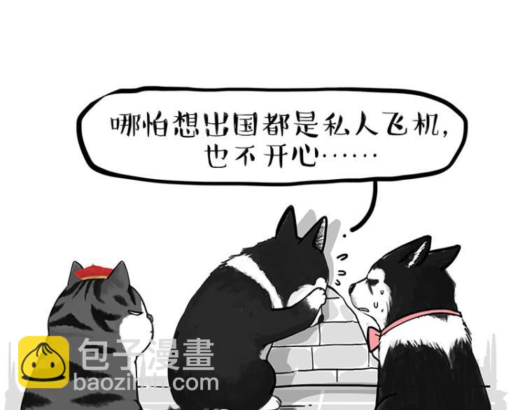 第289话 吹牛狗真牛18