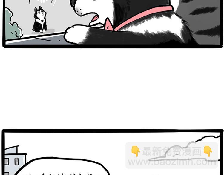 第289话 吹牛狗真牛36