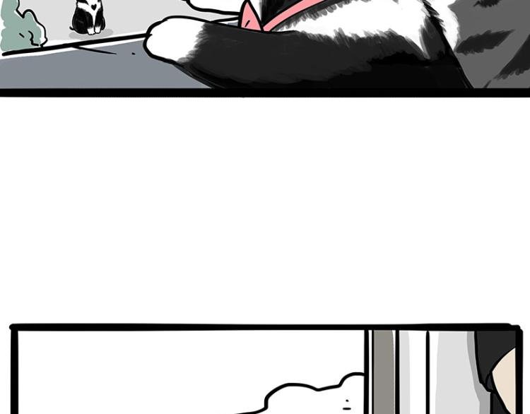 第289话 吹牛狗真牛39