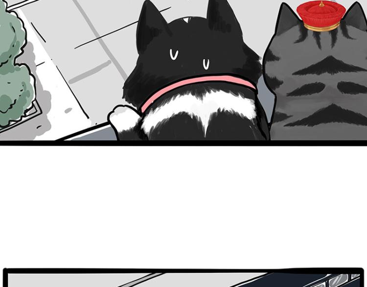 第289话 吹牛狗真牛46