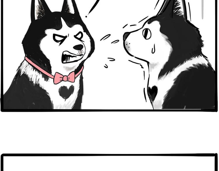 第289话 吹牛狗真牛5