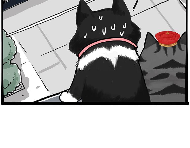 第289话 吹牛狗真牛53