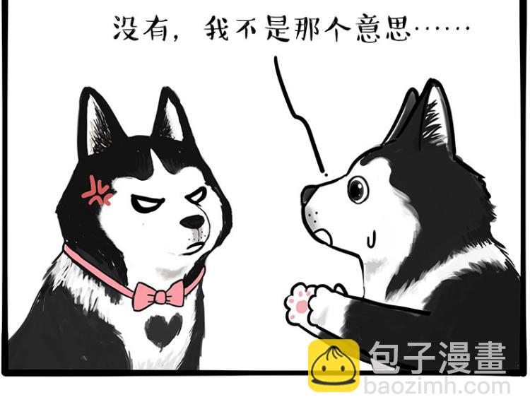 第289话 吹牛狗真牛6