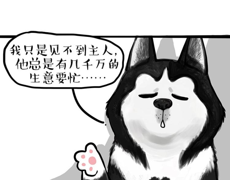 第289话 吹牛狗真牛7