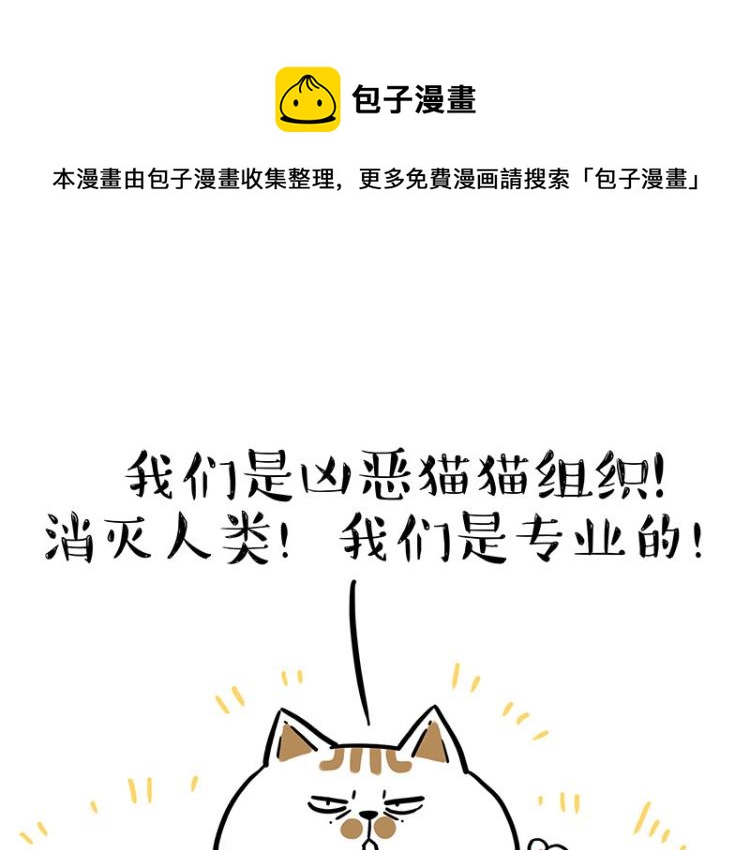 第290话 凶恶猫猫组织0