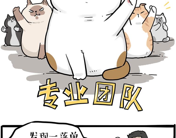 第290话 凶恶猫猫组织1