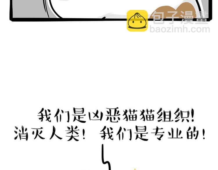 第290话 凶恶猫猫组织10