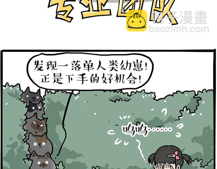 第290话 凶恶猫猫组织12