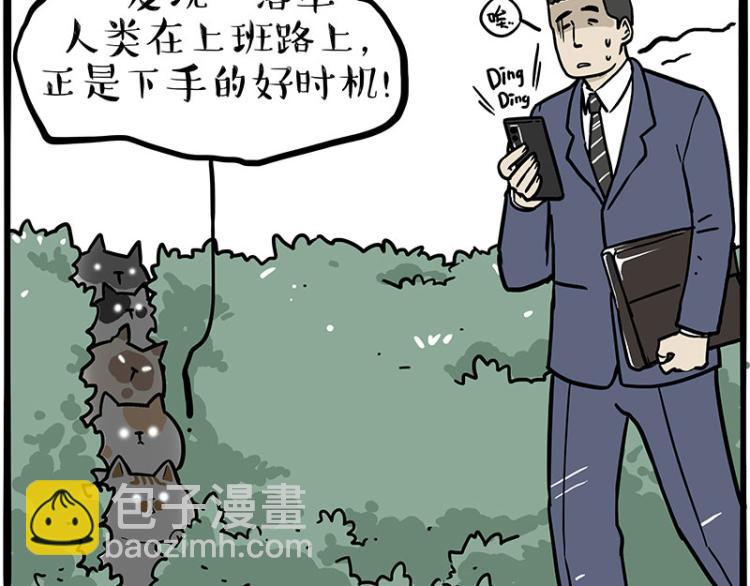 第290话 凶恶猫猫组织2