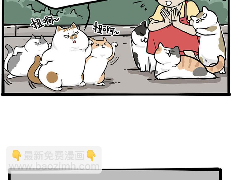 第290话 凶恶猫猫组织20