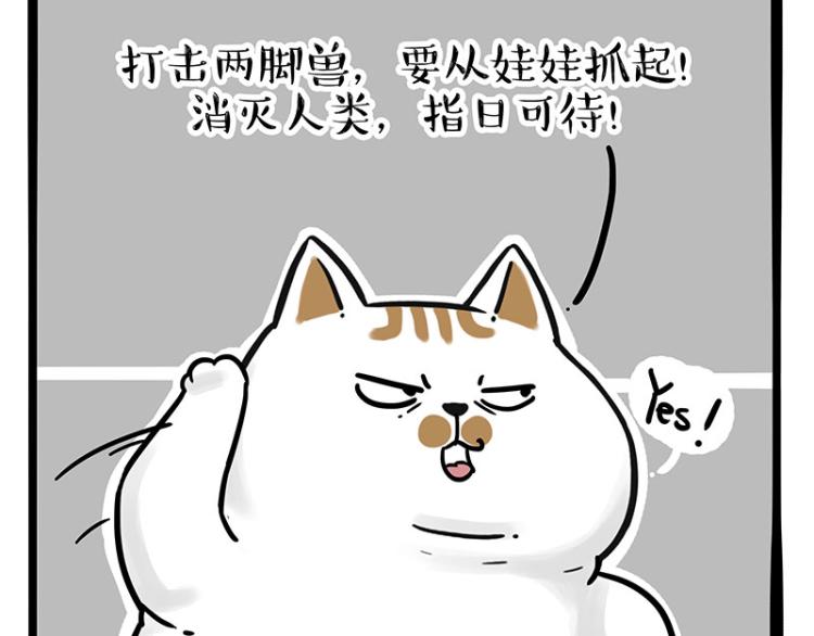 第290话 凶恶猫猫组织21