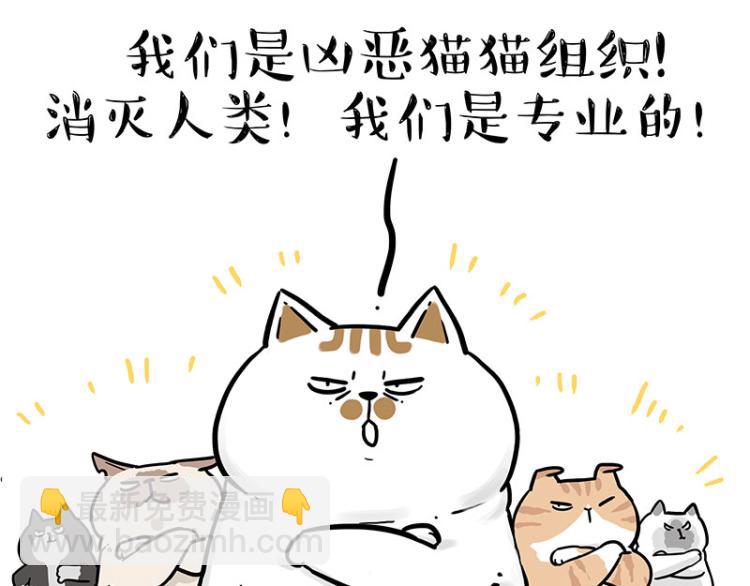 第290话 凶恶猫猫组织23