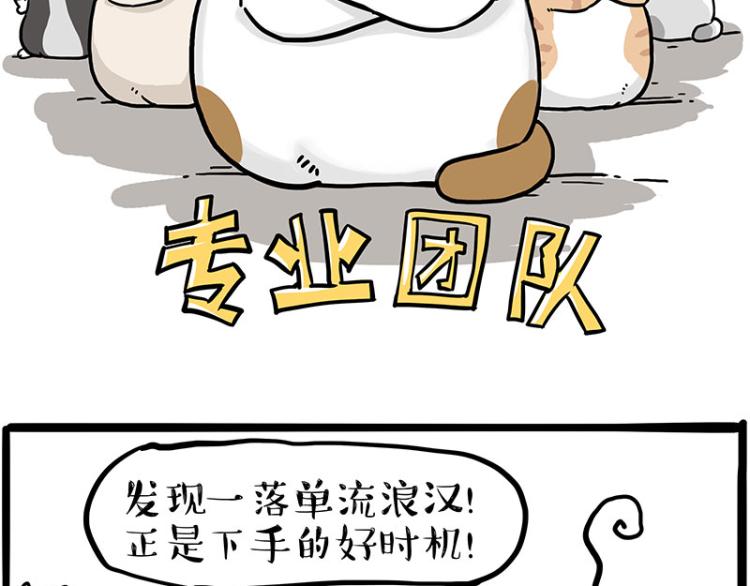 第290话 凶恶猫猫组织24