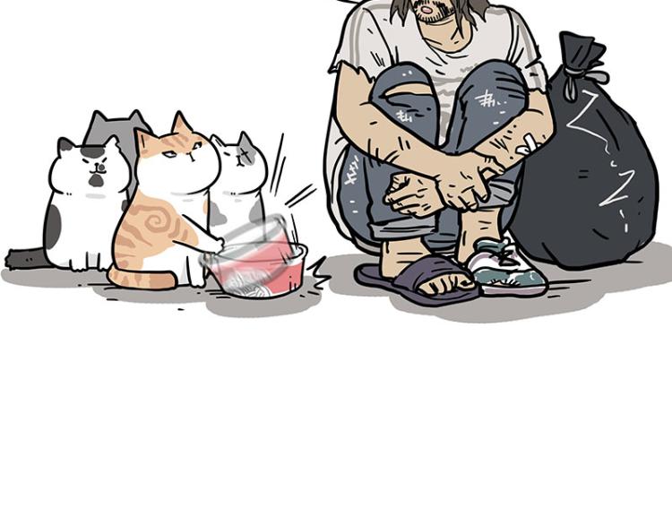第290话 凶恶猫猫组织29