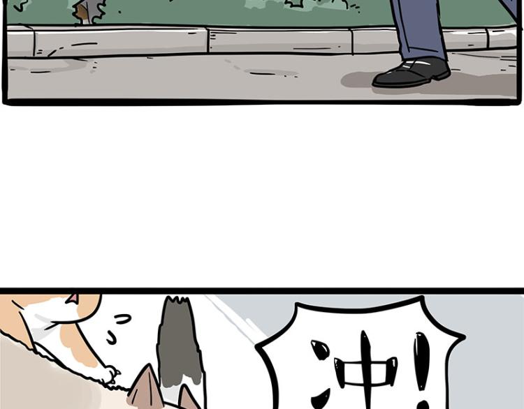 第290话 凶恶猫猫组织3