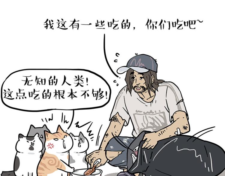 第290话 凶恶猫猫组织30