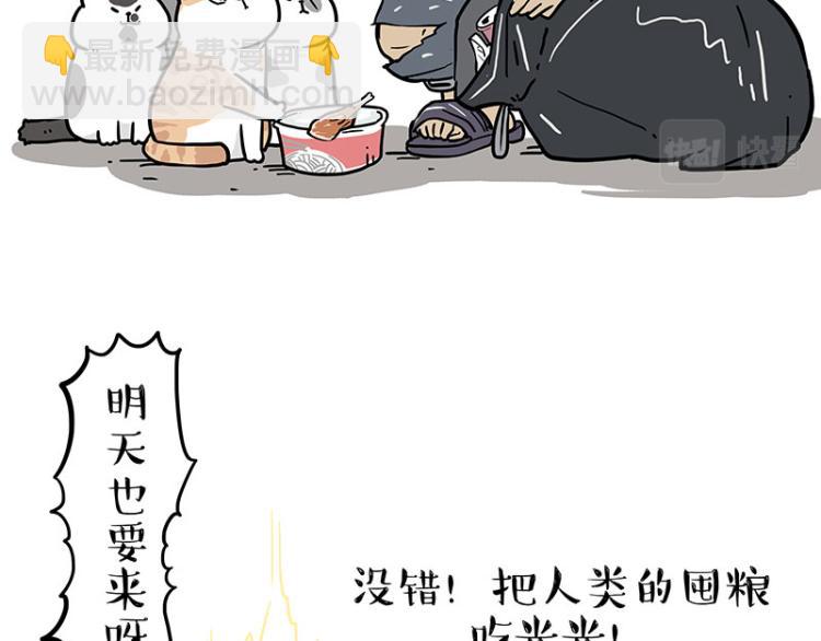 第290话 凶恶猫猫组织33