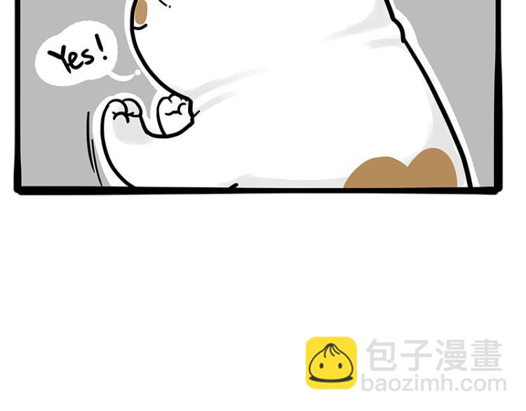 第290话 凶恶猫猫组织36