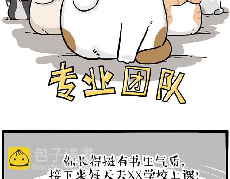 第290话 凶恶猫猫组织38