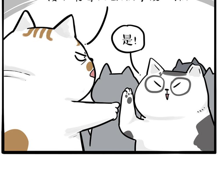 第290话 凶恶猫猫组织39