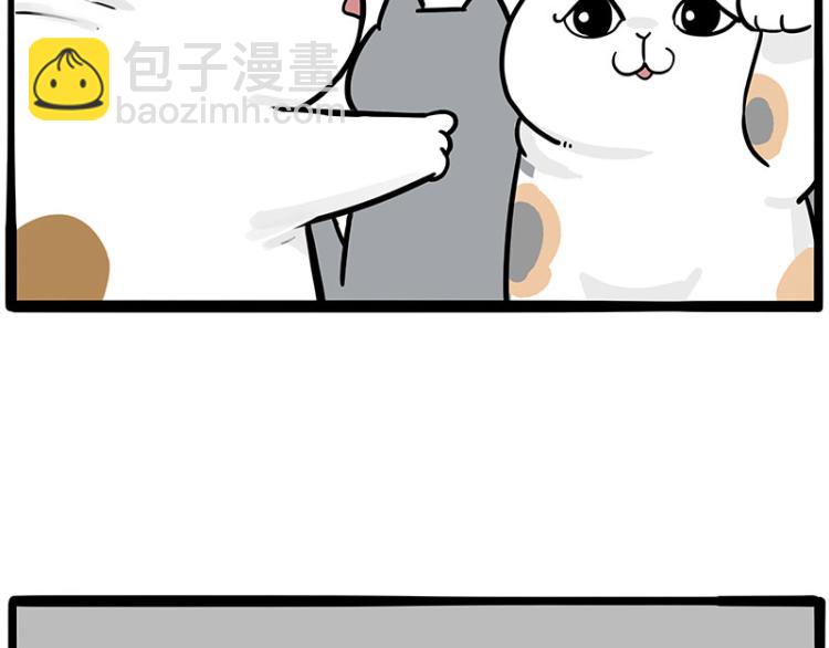 第290话 凶恶猫猫组织41