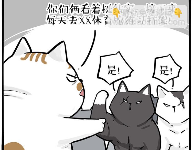 第290话 凶恶猫猫组织42