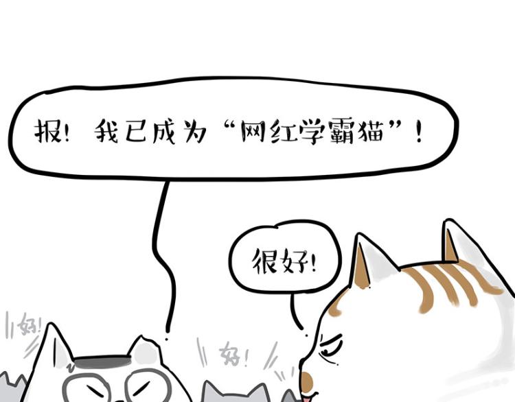 第290话 凶恶猫猫组织44