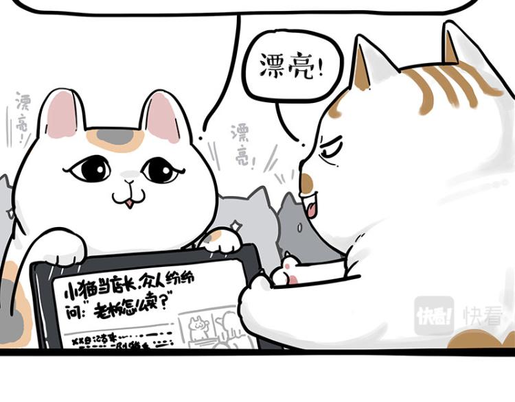 第290话 凶恶猫猫组织46