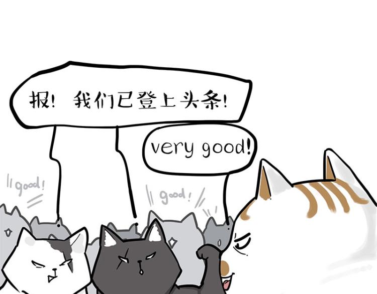 第290话 凶恶猫猫组织48