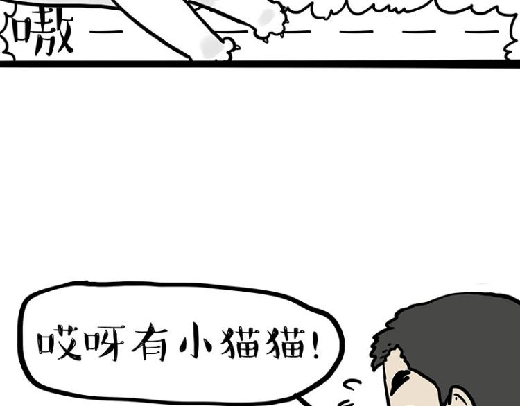 第290话 凶恶猫猫组织5