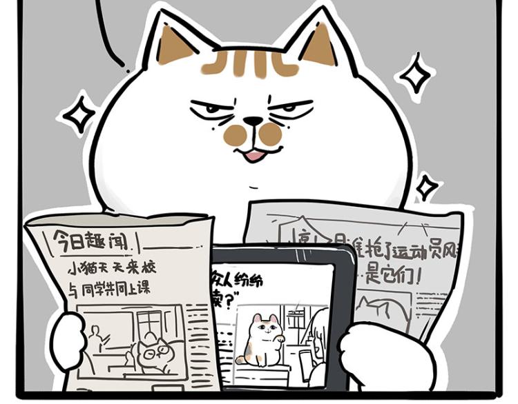 第290话 凶恶猫猫组织54