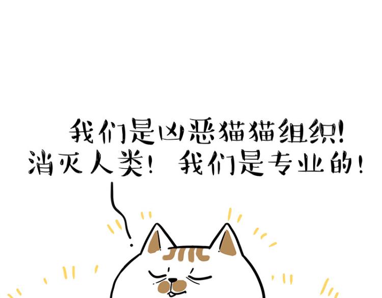 第290话 凶恶猫猫组织55