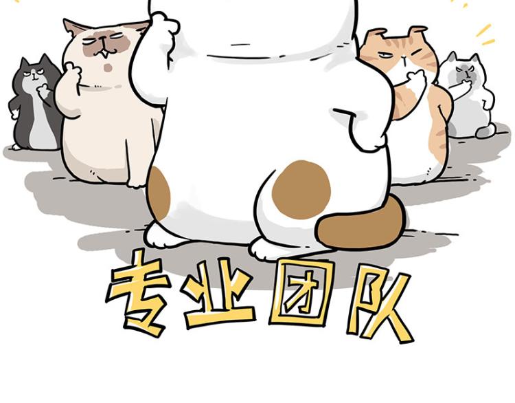 第290话 凶恶猫猫组织56