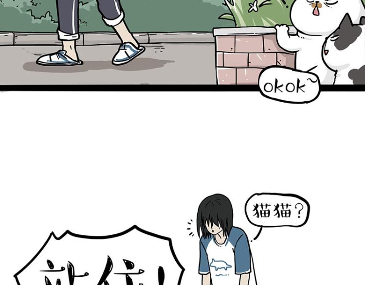 第290话 凶恶猫猫组织58
