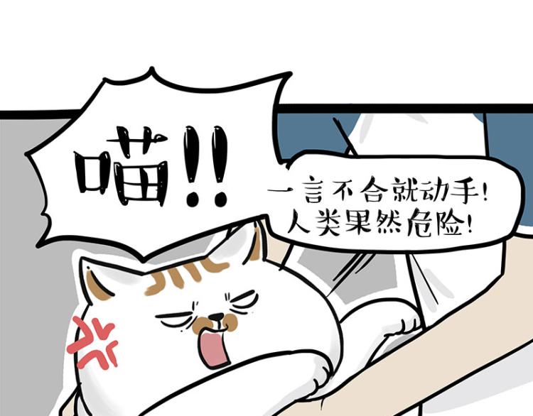 第290话 凶恶猫猫组织61