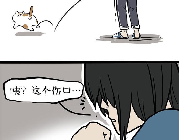 第290话 凶恶猫猫组织65