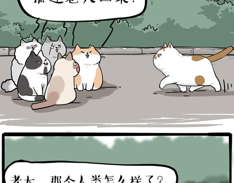 第290话 凶恶猫猫组织67