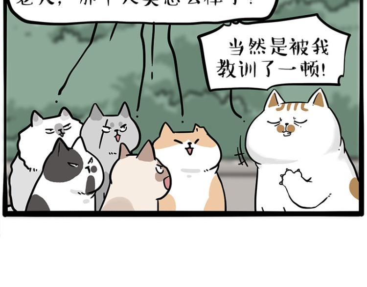 第290话 凶恶猫猫组织68
