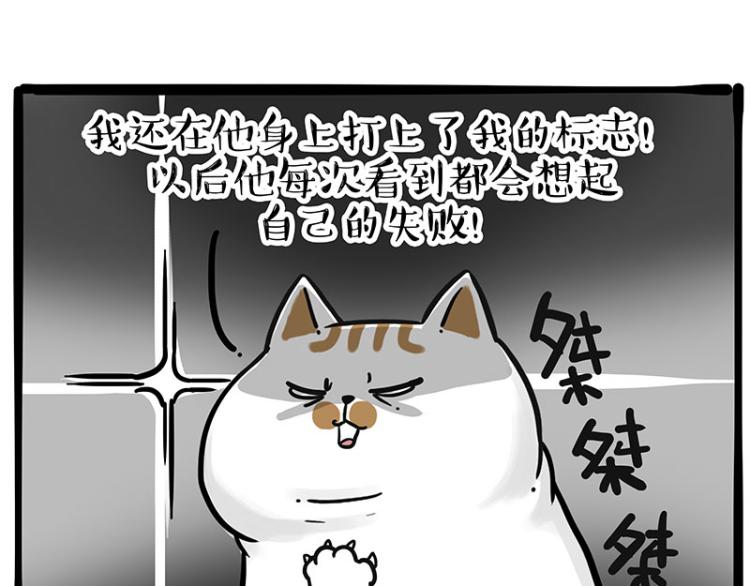 第290话 凶恶猫猫组织69