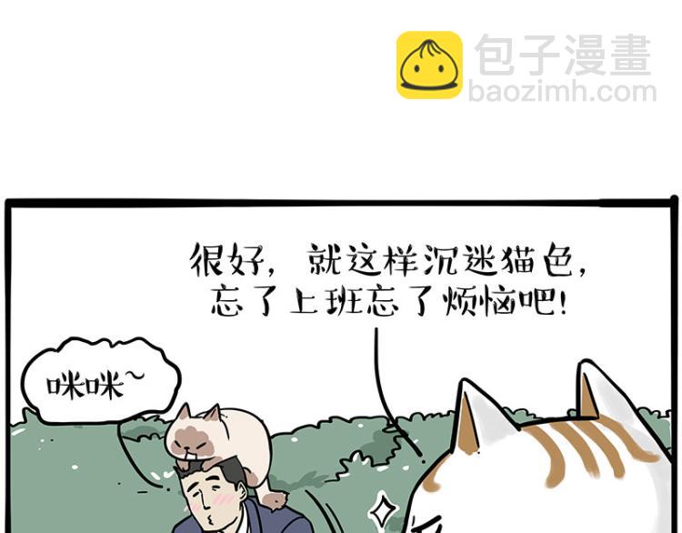 第290话 凶恶猫猫组织7