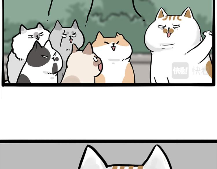 第290话 凶恶猫猫组织71