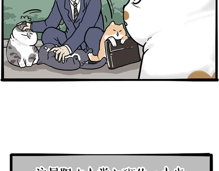 第290话 凶恶猫猫组织8