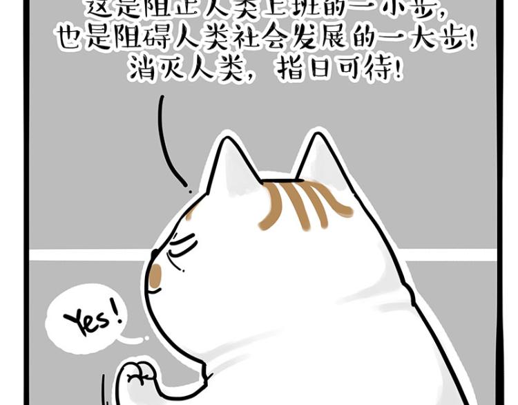 第290话 凶恶猫猫组织9