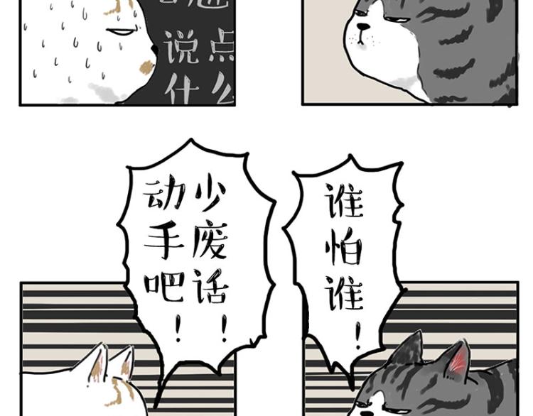 第291话 好兄弟，一辈子10