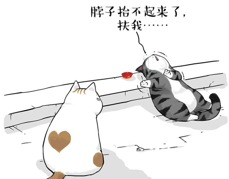 第291话 好兄弟，一辈子106