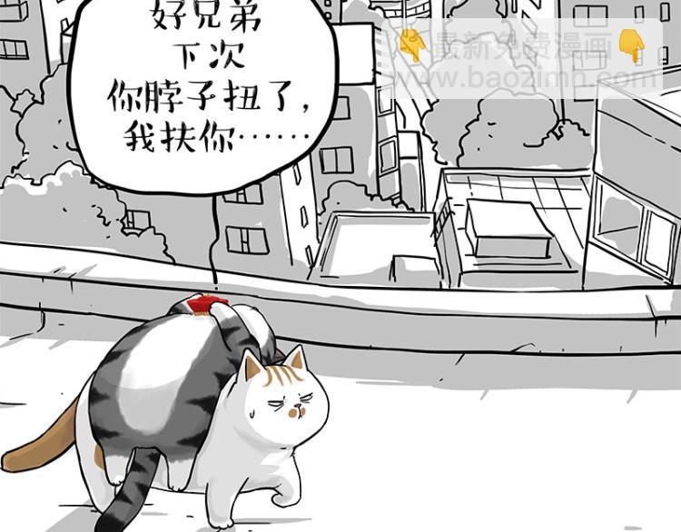 第291话 好兄弟，一辈子109