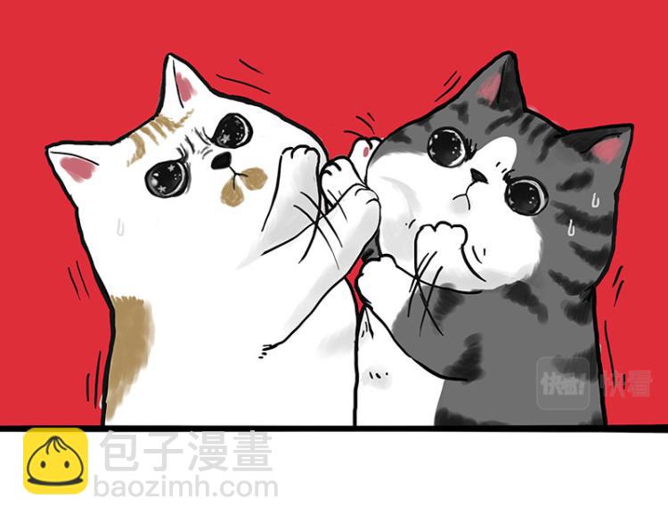 第291话 好兄弟，一辈子12