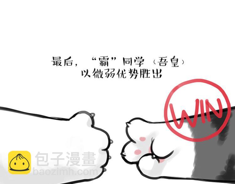 第291话 好兄弟，一辈子13