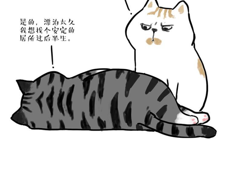 第291话 好兄弟，一辈子15