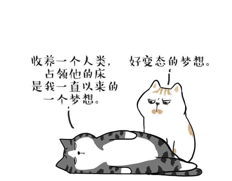 第291话 好兄弟，一辈子19